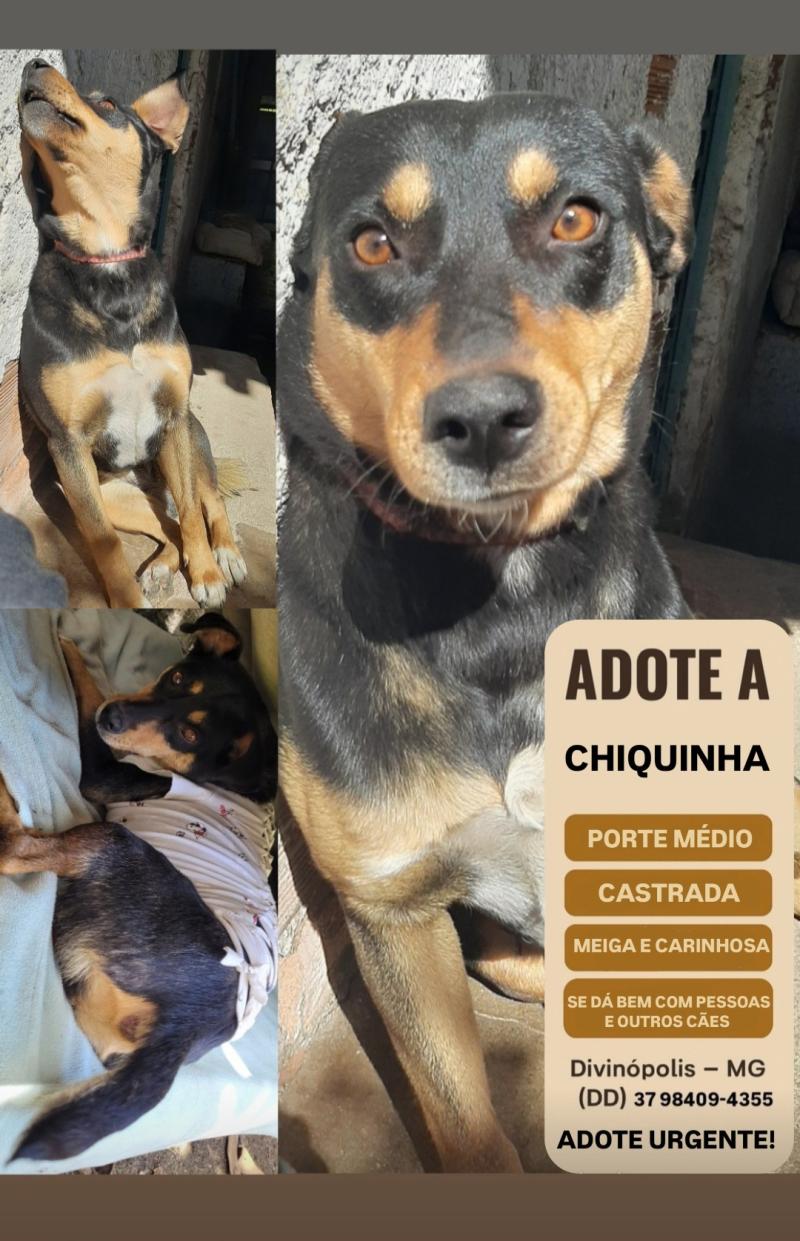 Adote A Chiquinha