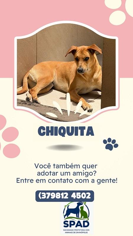 Adoção Especial- Chiquita