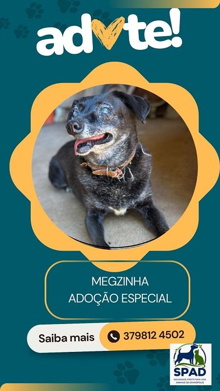 Adoção Especial- Megzinha