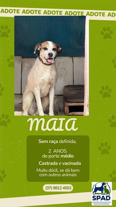 Cadelinha Maia