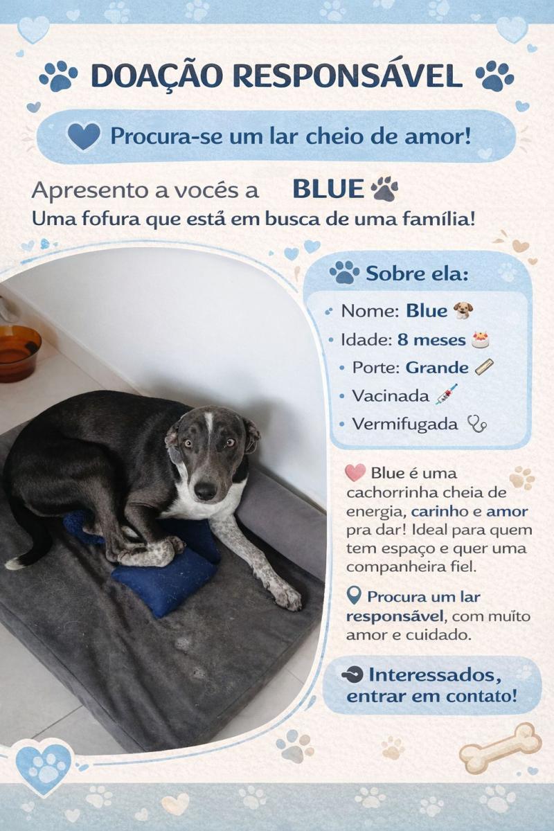 Adoção Responsável