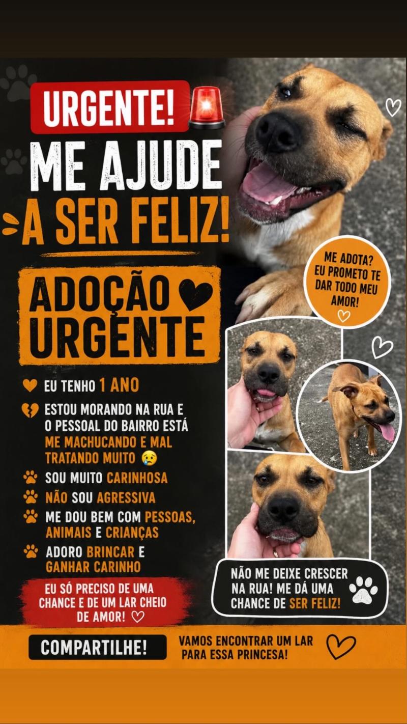 Adote Uma Caramela 