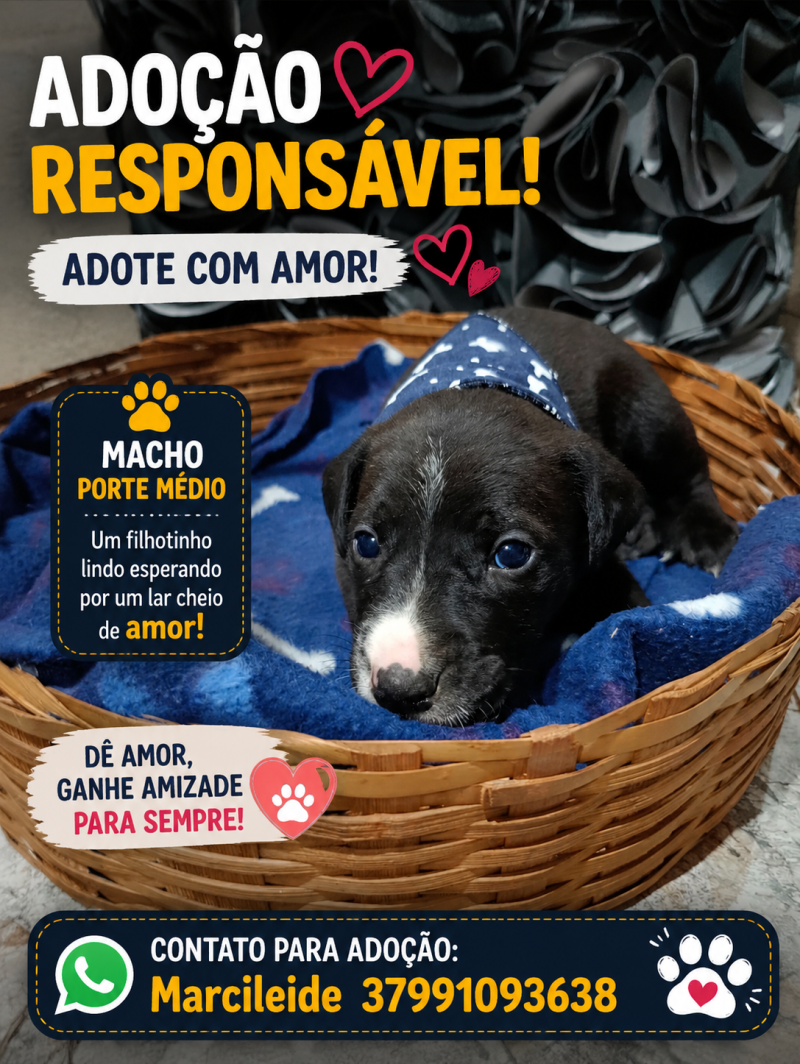 Adote 