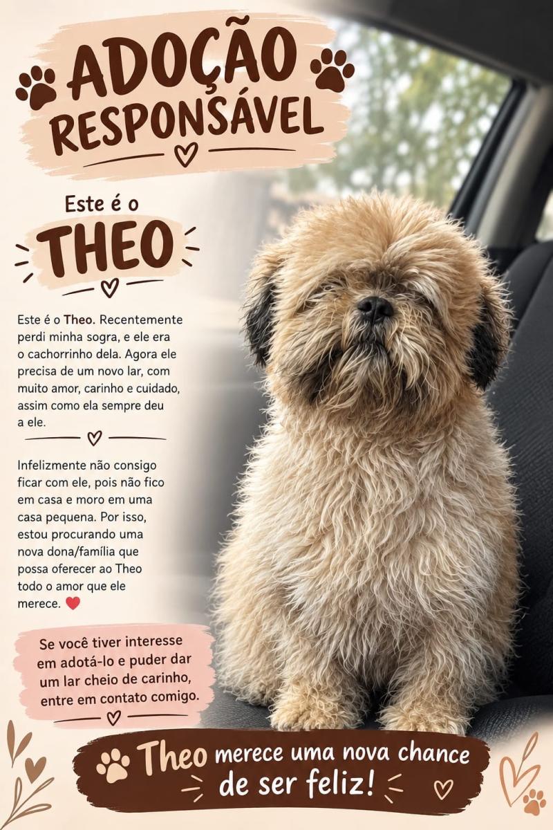 Adote O Theo 